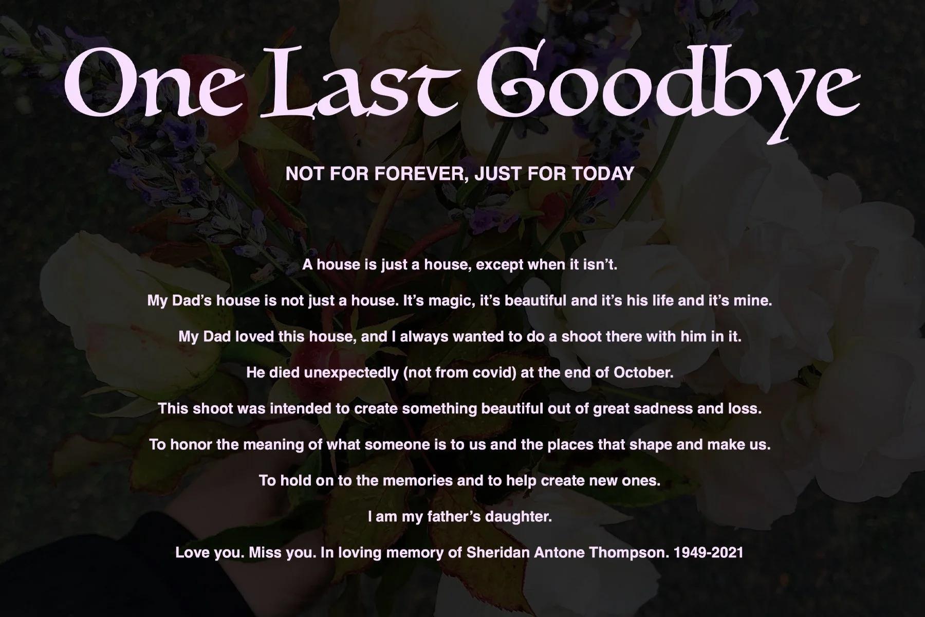 One Last Goodbye